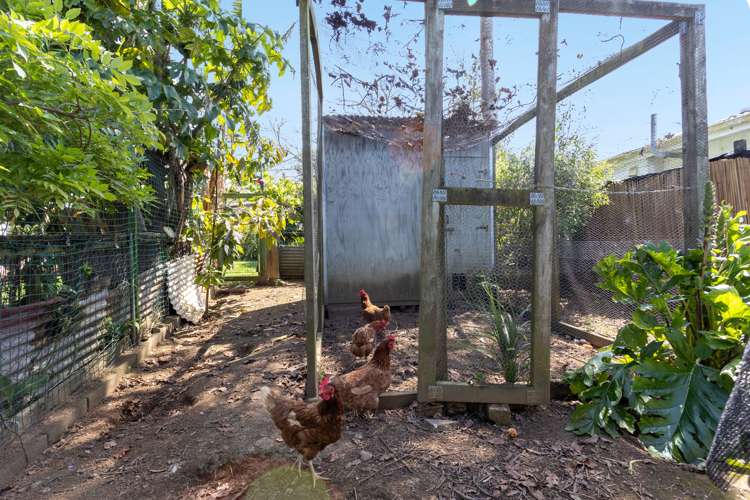 40 James Mcleod Road Shelly Beach_18