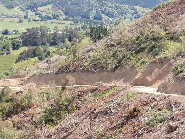 80 Ross Road Hira_11