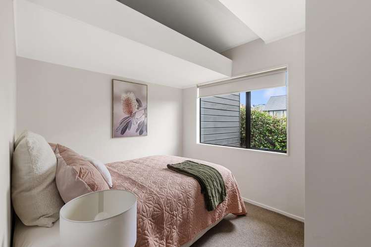 239A Hillsborough Road Hillsborough_20