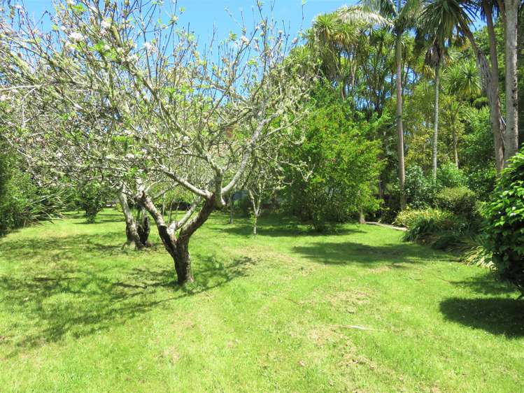 112 Colville Road Dargaville_23