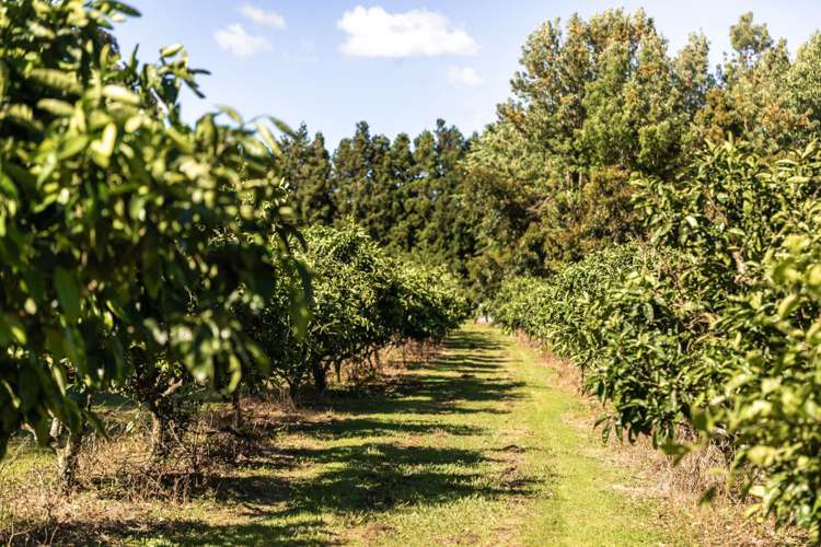 6 Sedgemoor Lane, RD 2 Katikati_32