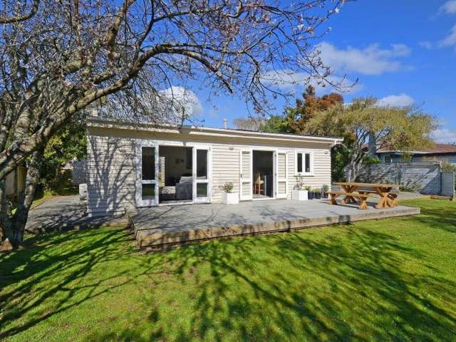 15 York Avenue Heretaunga_1