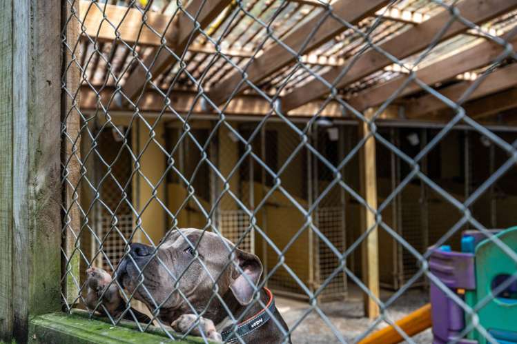 2 Cowan Bay Road Warkworth_38