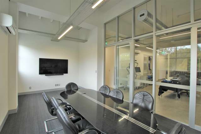 31 Cheshire Street Parnell_3