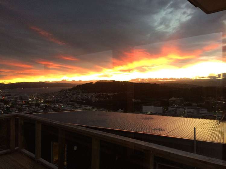 4 Pearce Street Vogeltown_12