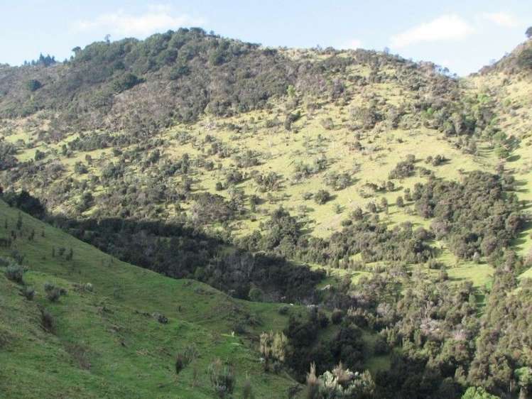 704 Mangatarere Valley Road Carterton_8