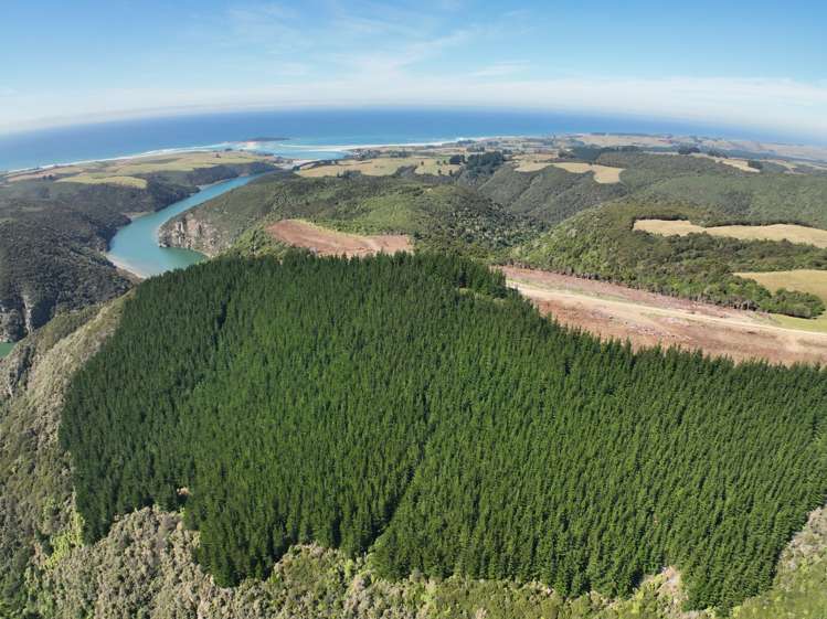 Finlayson Road Taieri Mouth_1