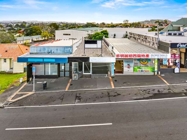 1017A Dominion Road Mt Roskill_1