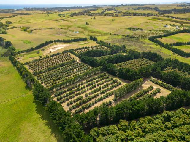 5126 State Highway One Ngataki_3