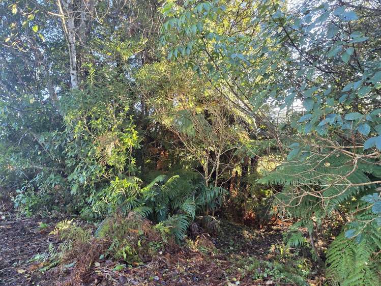 33 Highlander Drive Franz Josef Glacier_2