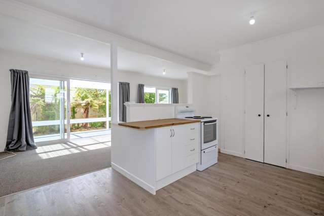 48b Forsyth Street Opotiki_1