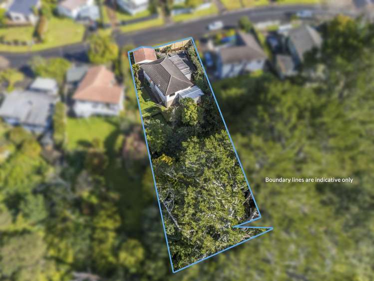 66 Anich Road Massey_25