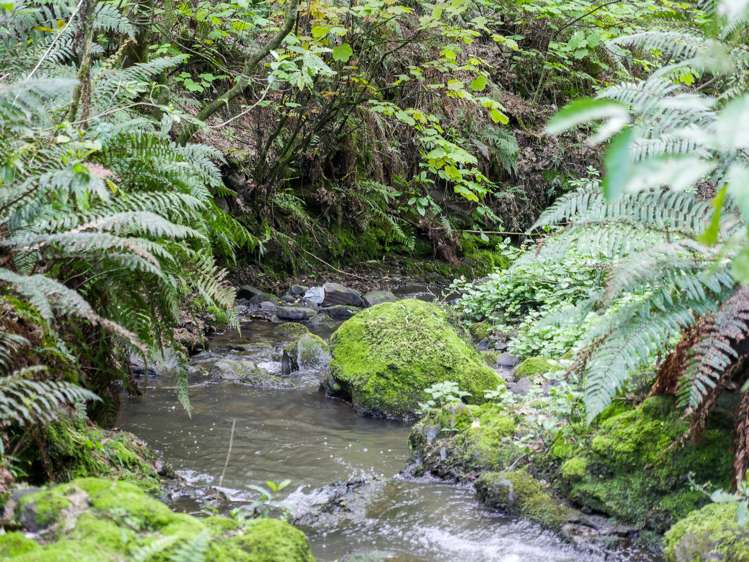 300 Helensburgh Road Helensburgh_14