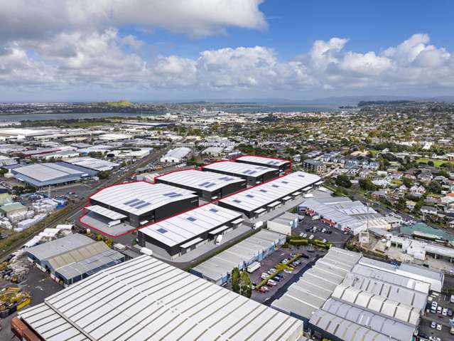 39 Felix Street Onehunga_4