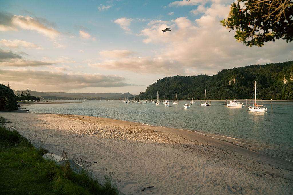 104 Barbara Avenue Whangamata ThamesCoromandel Houses for Sale