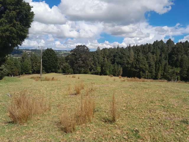 596 Waimate North Road Kerikeri_4