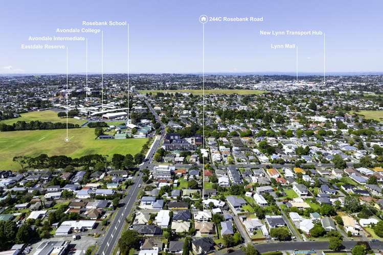 244C Rosebank Road Avondale_23