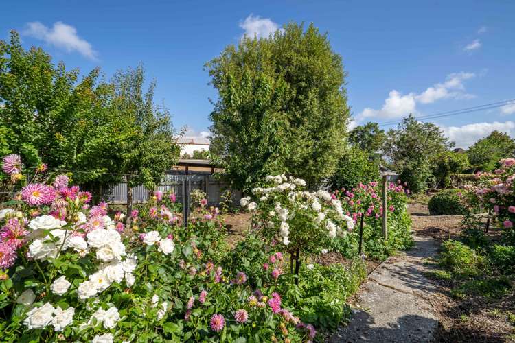 23 Sussex Street Tapanui_15