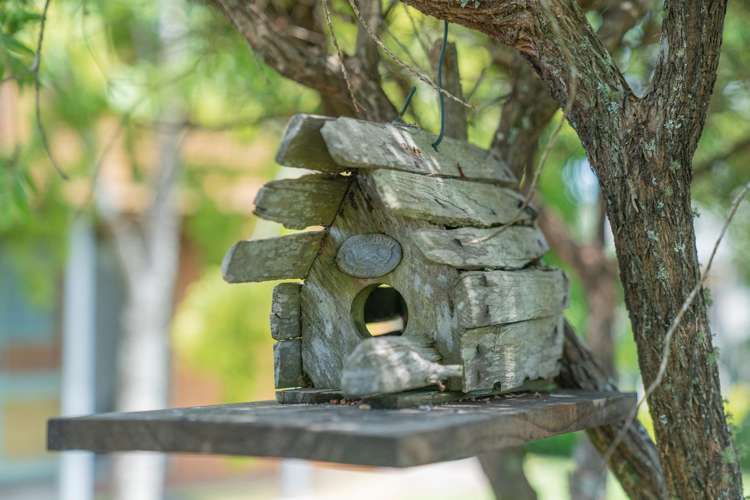 12 Cathedral Court Hahei_39