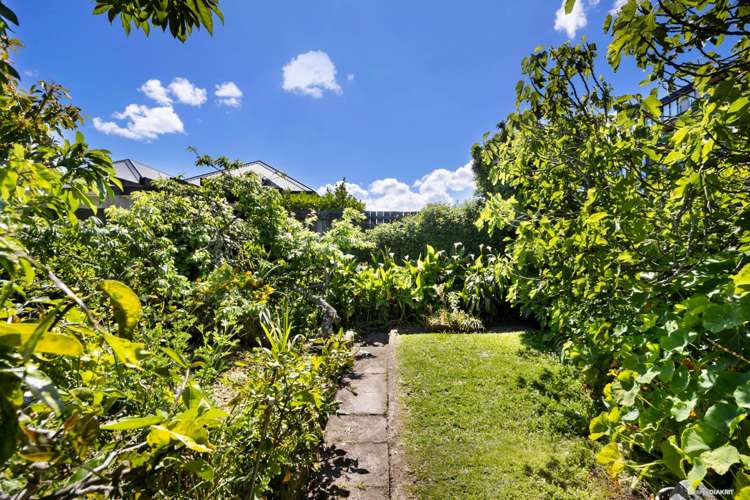 3 Northland Street Grey Lynn_5