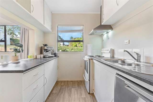 23b Amy Street Ellerslie_1