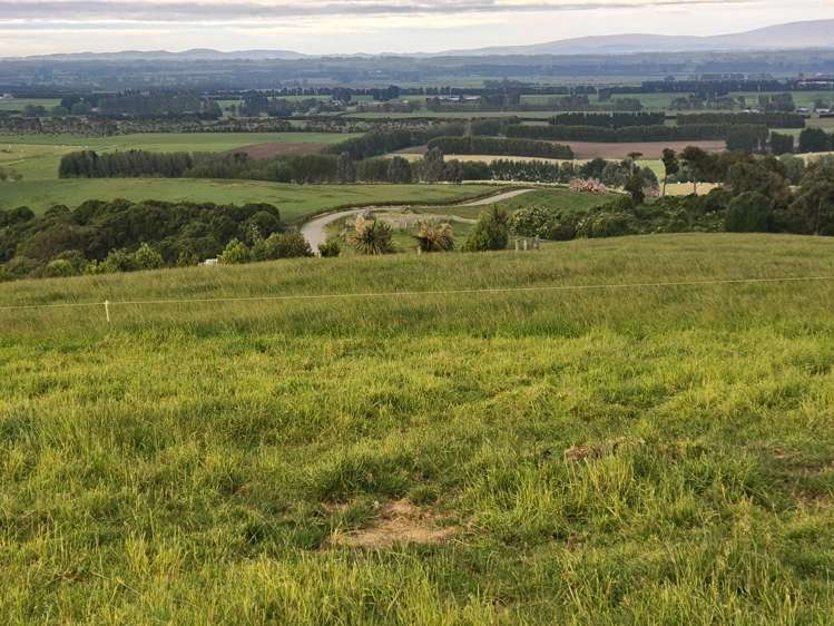 137 Kahikatea Drive_1