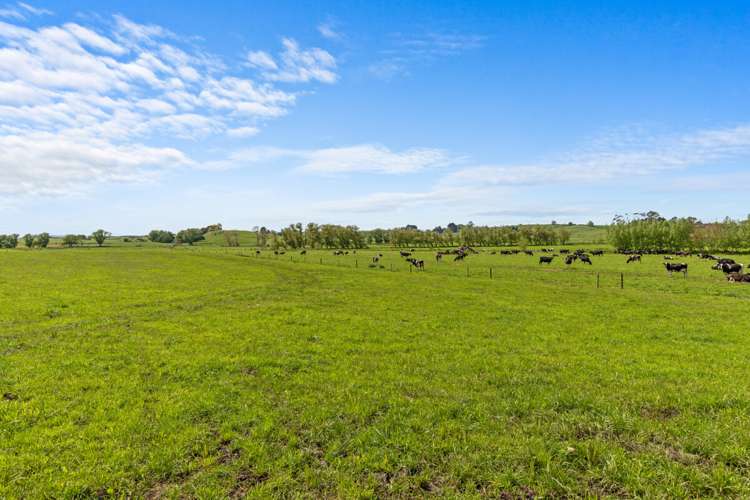 178 Furniss Road Ruawaro_13