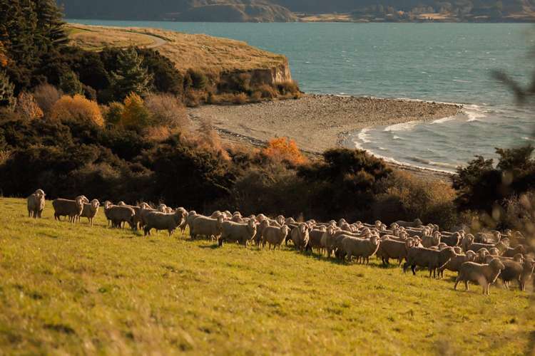 Lot 1, John's Creek Lake Hawea_15