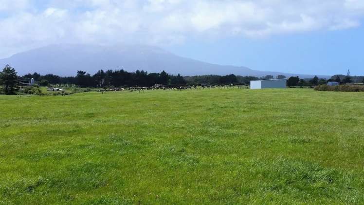 2369 Eltham Road Opunake_7