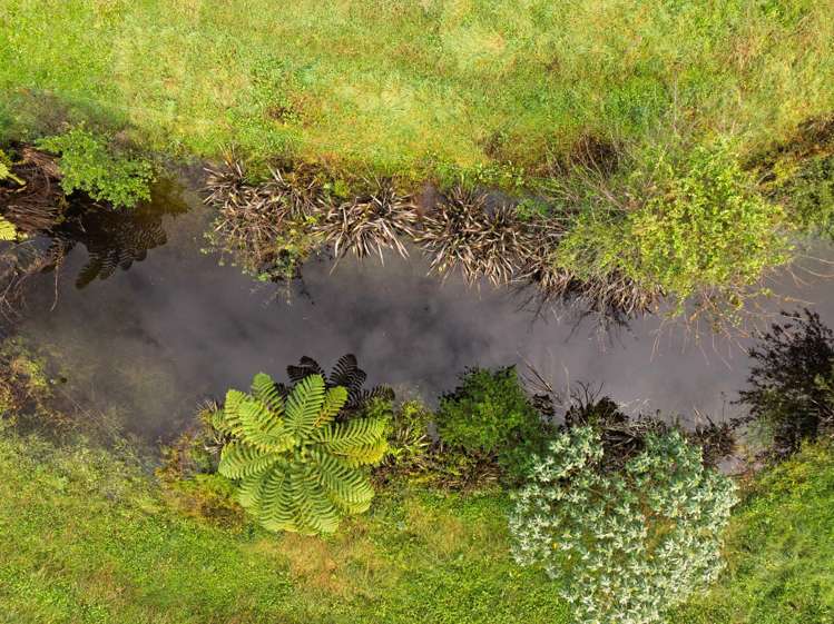 222 Wharawhara Road Katikati_7