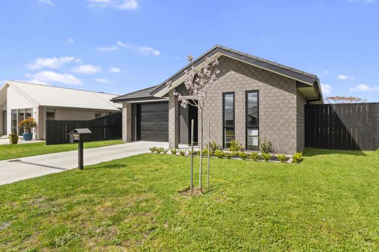 11 Eastbank Drive Katikati_20