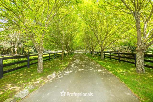 118 Colletts Road Mangaroa_2