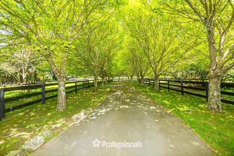 118 Colletts Road Mangaroa_2