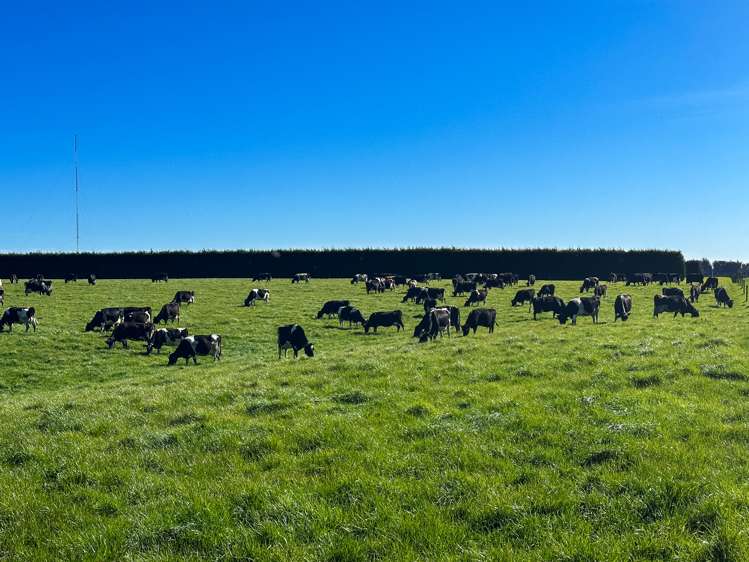 793 Edendale Woodlands Highway Winton Surrounds_14