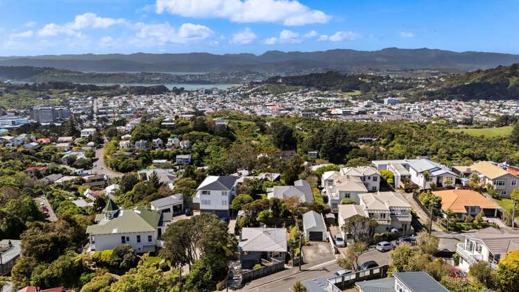 21 Mana Street Vogeltown_13