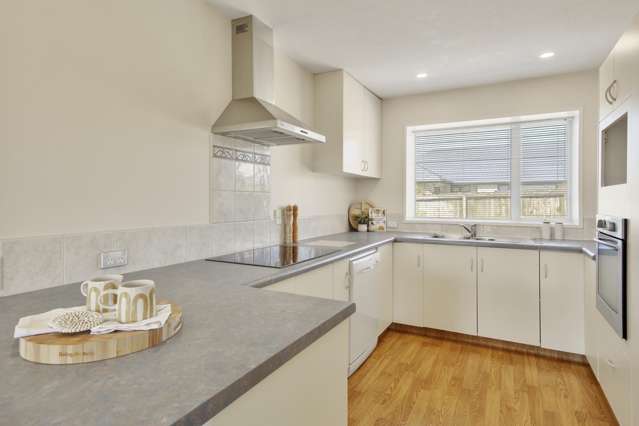 51 Showgate Avenue Sockburn_3