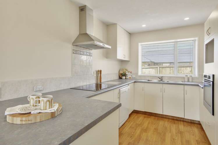 51 Showgate Avenue Sockburn_3