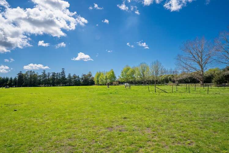 53 Omaha Flats Road Matakana Coast_8