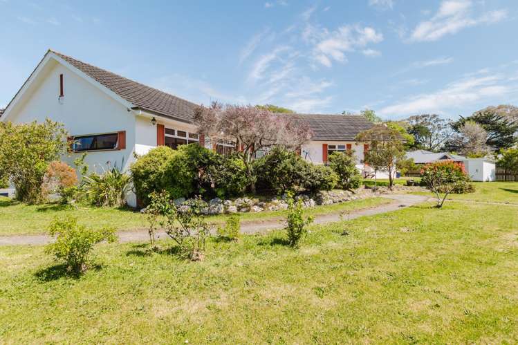 33 Daniell Street Bulls_20