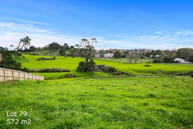 30 Mahi Road Helensville_1
