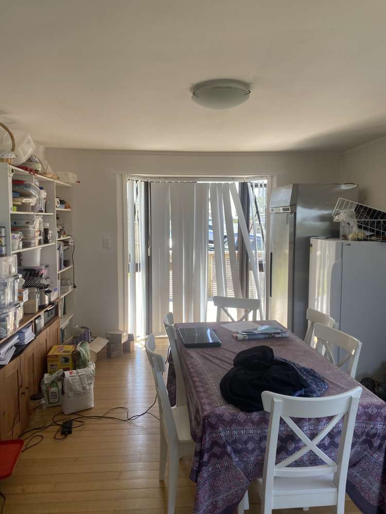 102 Sunrise Avenue Mairangi Bay_5