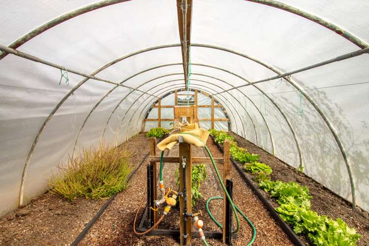 347 Henwood Road Hillsborough_11