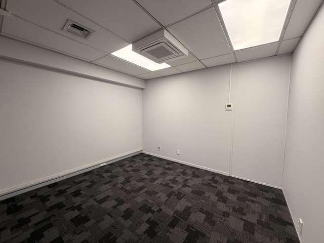 65 Waterloo Road Hutt Central_3