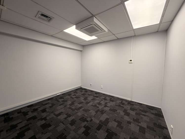 65 Waterloo Road Hutt Central_3