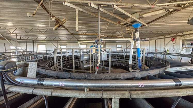 61 Cuff Road Kingseat_7