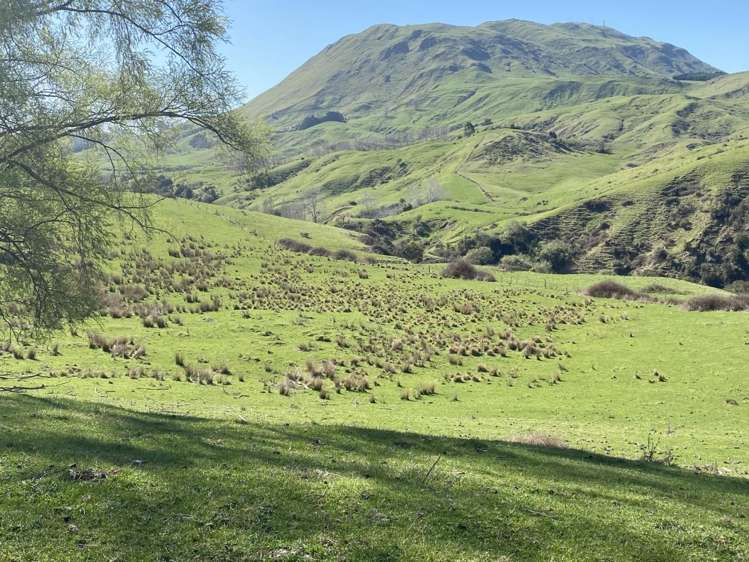 1601 Kahuranaki Road Havelock North_8