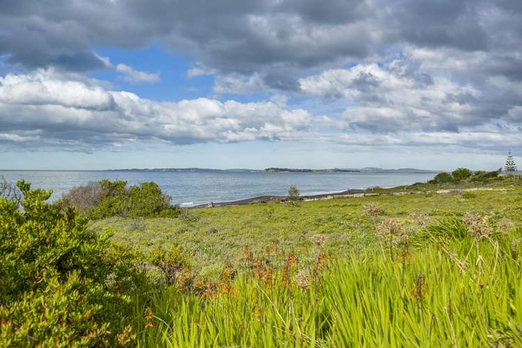 230 Whirinaki Road Eskdale_18