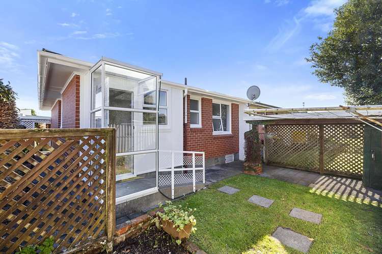 290d Carrington Street Vogeltown_13