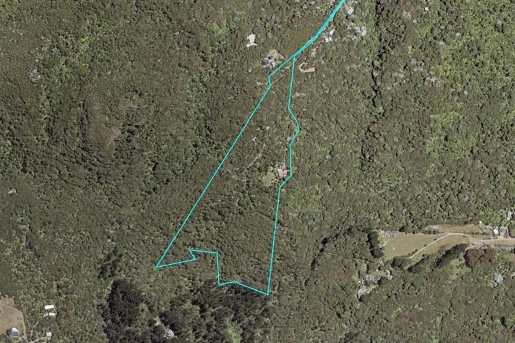 16 La Trobe Track Karekare_45