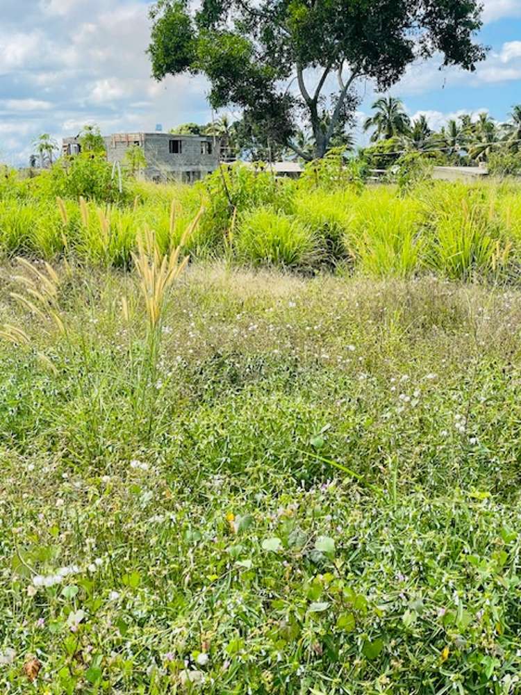 Lot 1 NAISOSOVU Nadi_10